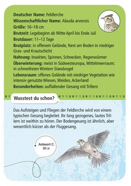 Moses Expedition Natur 50 Heimische Vögel 3 Moses Expedition Natur 50 Heimische Vögel – Bild 3
