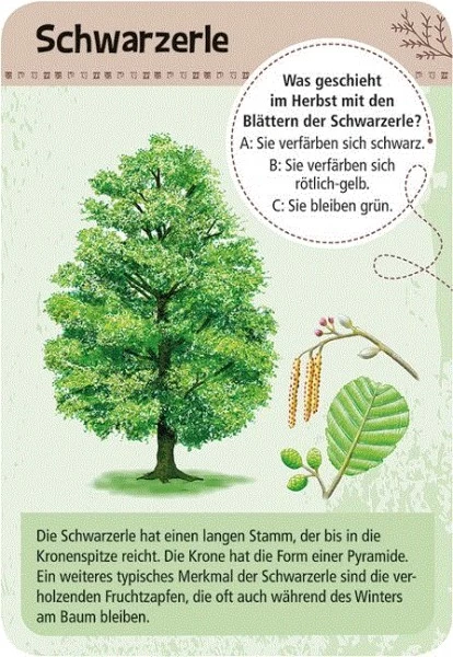 Moses Expedition Natur 50 Heimische Bäume 2 Moses Expedition Natur 50 Heimische Bäume – Bild 2