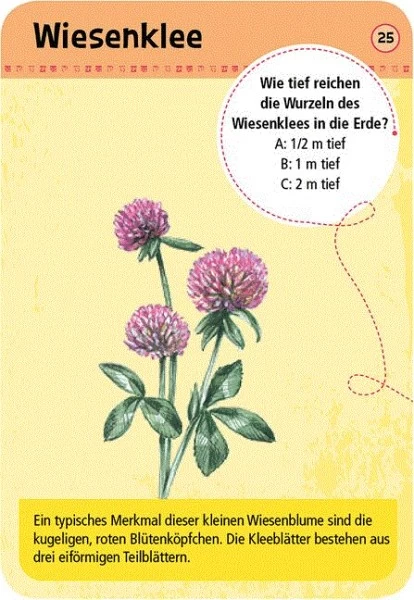 Moses Expedition Natur 50 Heimische Blumen 2 Moses Expedition Natur 50 Heimische Blumen – Bild 2