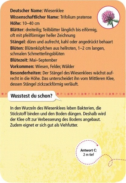 Moses Expedition Natur 50 Heimische Blumen 3 Moses Expedition Natur 50 Heimische Blumen – Bild 3