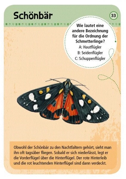 Moses Expedition Natur 50 Heimische Schmetterlinge 2 Moses Expedition Natur 50 Heimische Schmetterlinge – Bild 2