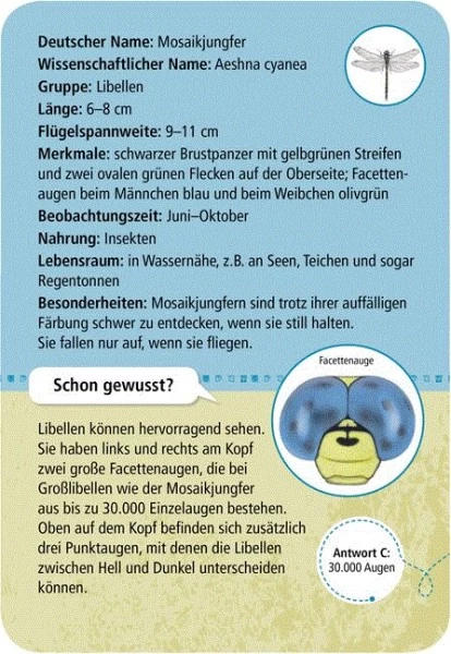 Moses Expedition Natur 50 Heimische Insekten & Spinnen 3 Moses Expedition Natur 50 Heimische Insekten & Spinnen – Bild 3