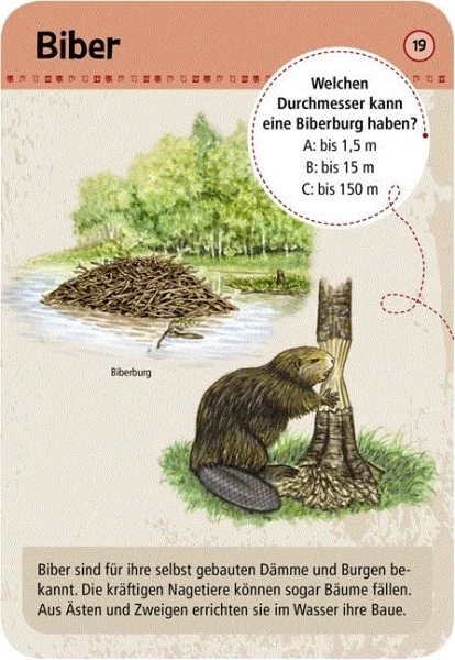 Moses Expedition Natur 50 Tierspuren 2 Moses Expedition Natur 50 Tierspuren – Bild 2