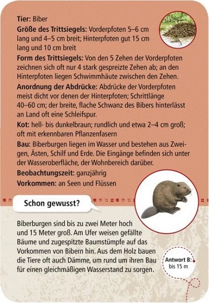 Moses Expedition Natur 50 Tierspuren 3 Moses Expedition Natur 50 Tierspuren – Bild 3