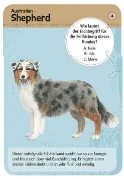 Kinderspielzeug Serien Geschäft -Kinderspielzeug Serien Geschäft 211 9769 a 600x600