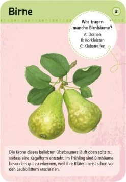 Kinderspielzeug Serien Geschäft -Kinderspielzeug Serien Geschäft 211 9779 a 600x600