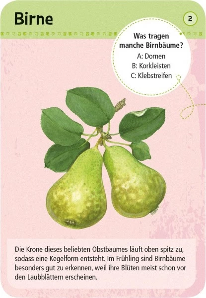 Moses Expedition Natur 50 Heimische Garten- & Feldpflanzen 2 Moses Expedition Natur 50 Heimische Garten- & Feldpflanzen – Bild 2