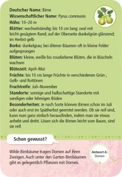 Moses Expedition Natur 50 Heimische Garten- & Feldpflanzen 5 Moses Expedition Natur 50 Heimische Garten- & Feldpflanzen -Kinderspielzeug Serien Geschäft 211 9779 b 600x600