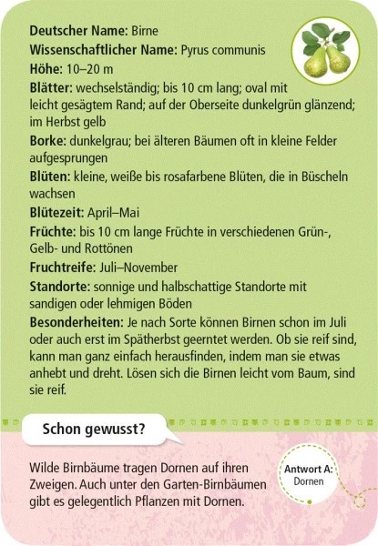 Moses Expedition Natur 50 Heimische Garten- & Feldpflanzen 3 Moses Expedition Natur 50 Heimische Garten- & Feldpflanzen – Bild 3