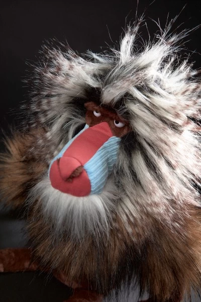 Sigikid BEASTS King Bombastic 3 Sigikid BEASTS King Bombastic – Bild 3