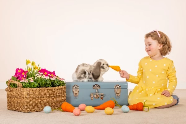 Hermann Teddy Widderkaninchen Liegend Grau-weiß 30 Cm Stofftier 2 Hermann Teddy Widderkaninchen Liegend Grau-weiß 30 Cm Stofftier – Bild 2