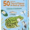 Moses Expedition Natur 50 Heimische Tiere & Pflanzen An Bach & Teich